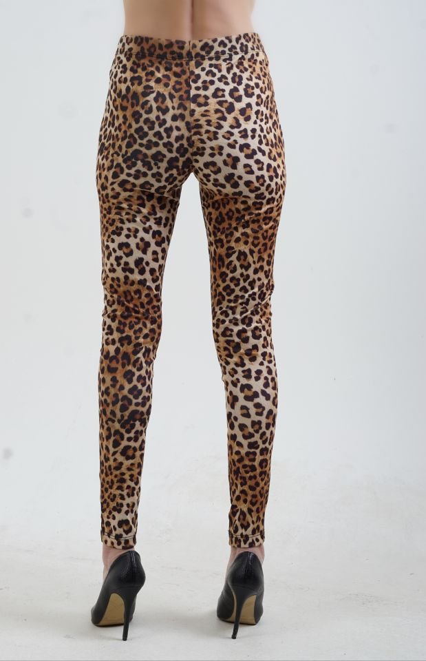 Leopar Tayt