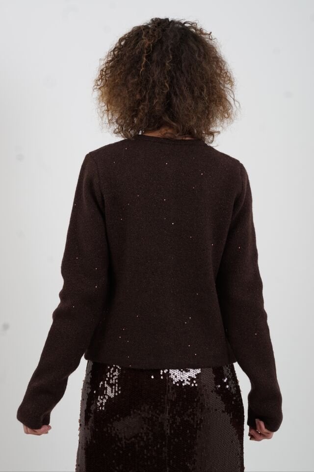 Kahve Pullu Simli Triko Hırka