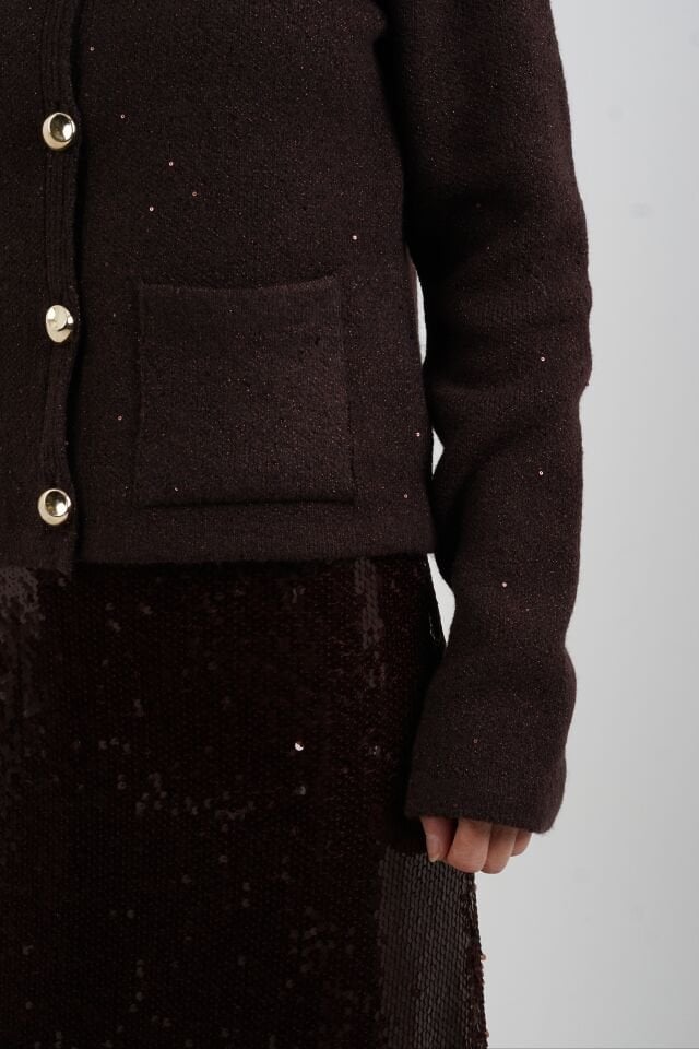 Kahve Pullu Simli Triko Hırka